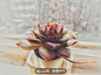 深圳玖玖吉泰网络科技有限公司