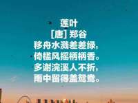 深圳玖玖吉泰网络科技有限公司