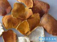 深圳玖玖吉泰网络科技有限公司